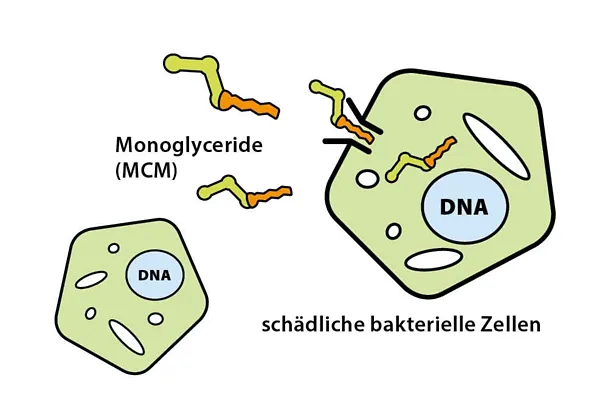 Monogliceridi