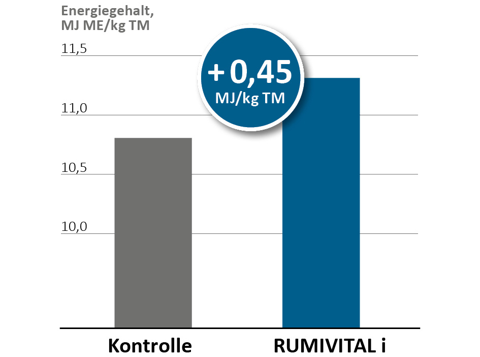 RUMIVITAL®i povećava energiju RUMIVITAL®i povećava energiju