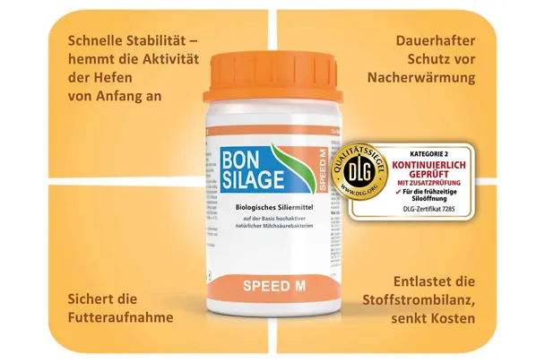 Maissilage