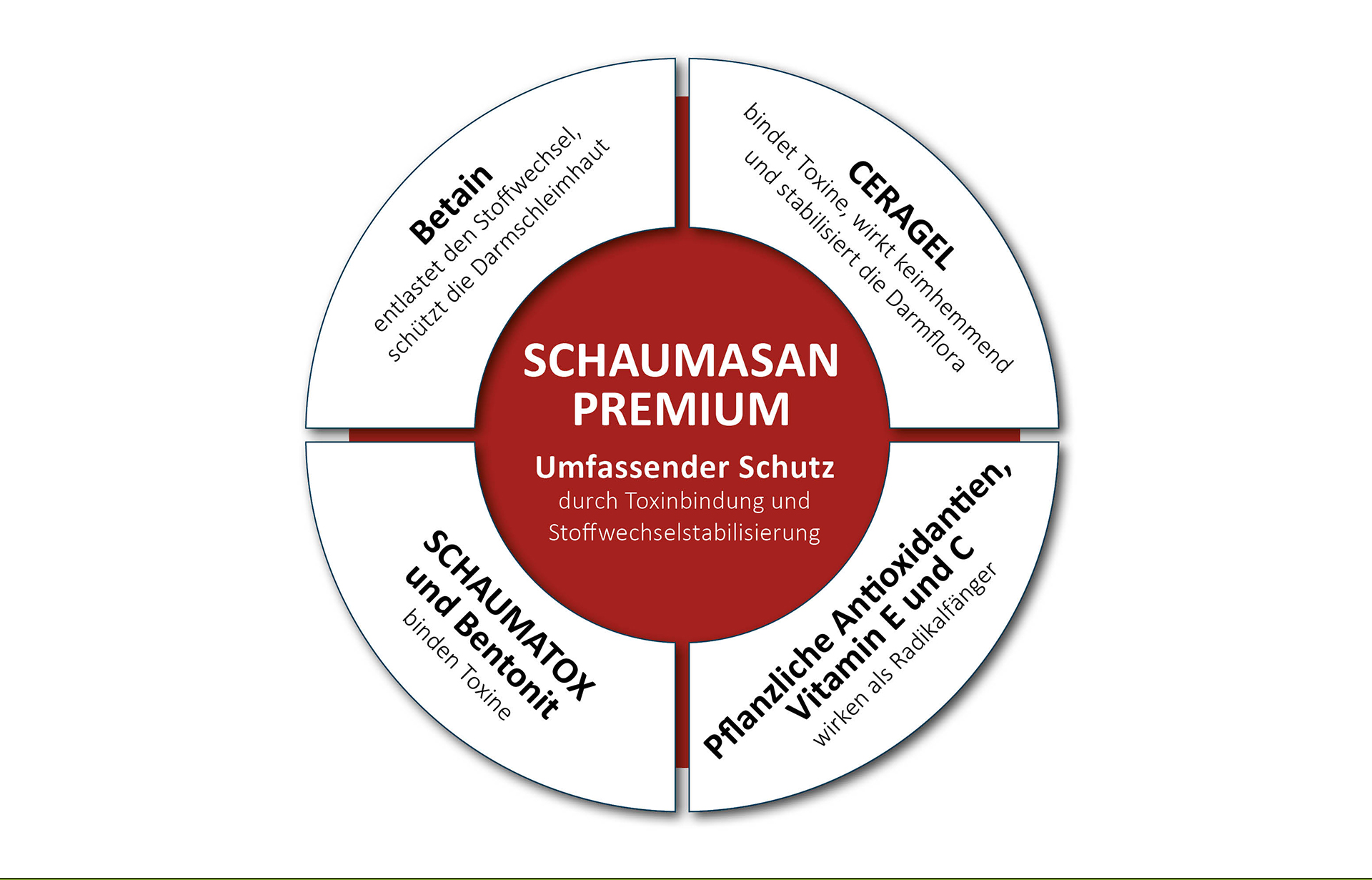 Temelji SCHAUMASAN PREMIUM Temelji SCHAUMASAN PREMIUM