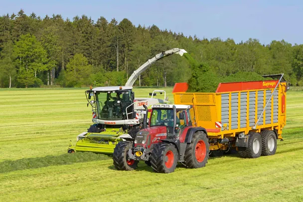 Grassilierung