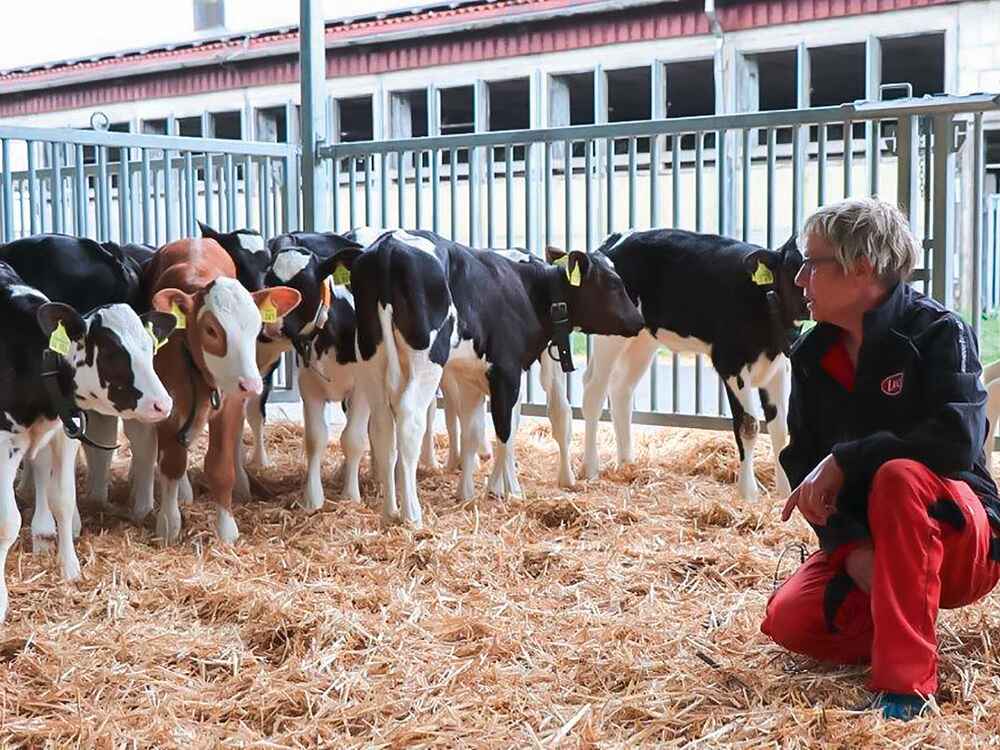 Poljoprivredna zadruga Königsee: više sigurnosti i stabilnosti prilikom napajanja teladi