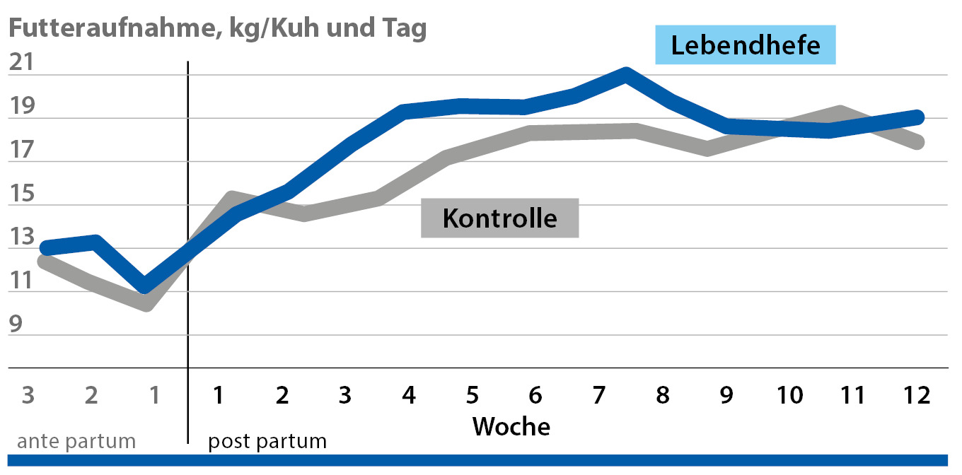 Konzum krmiva sa Ass-Co Ferm