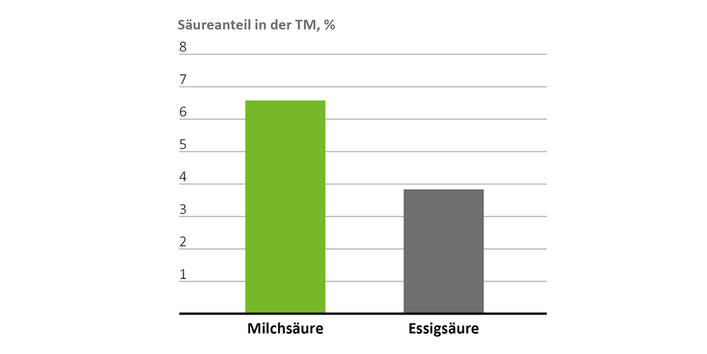 BONSILAGE ALFA