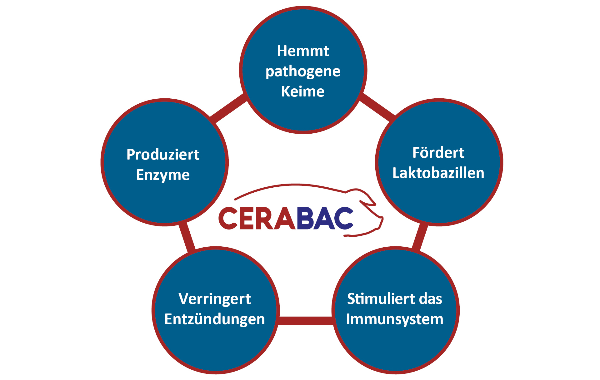  CERABAC- efekti