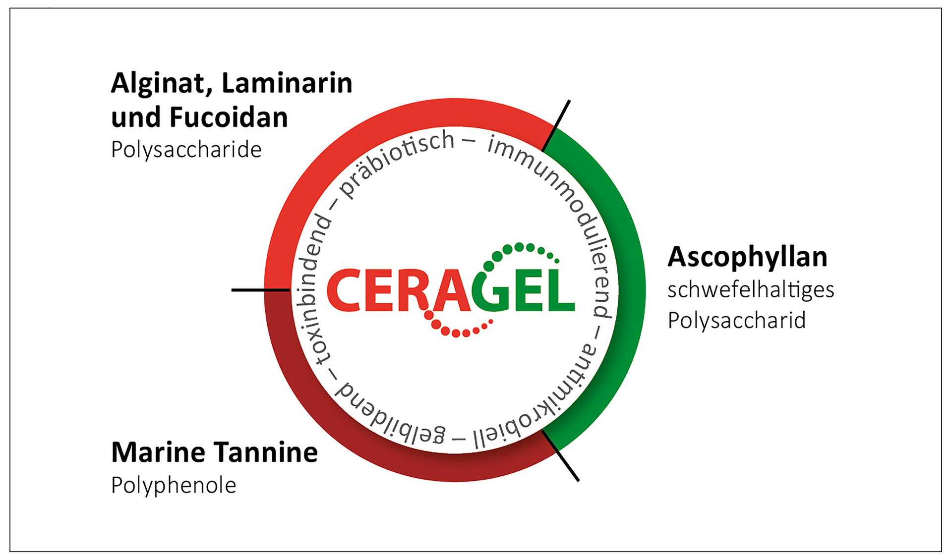 aktivni sastojci i djelovanje CERAGELA