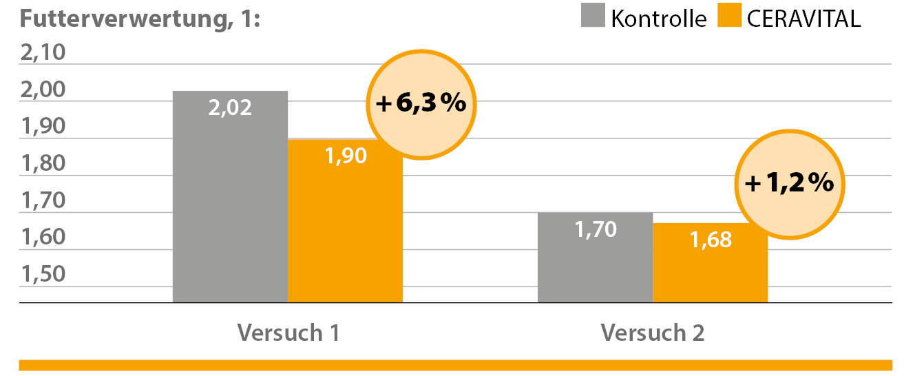 konverzija sa CERAVITAL-om