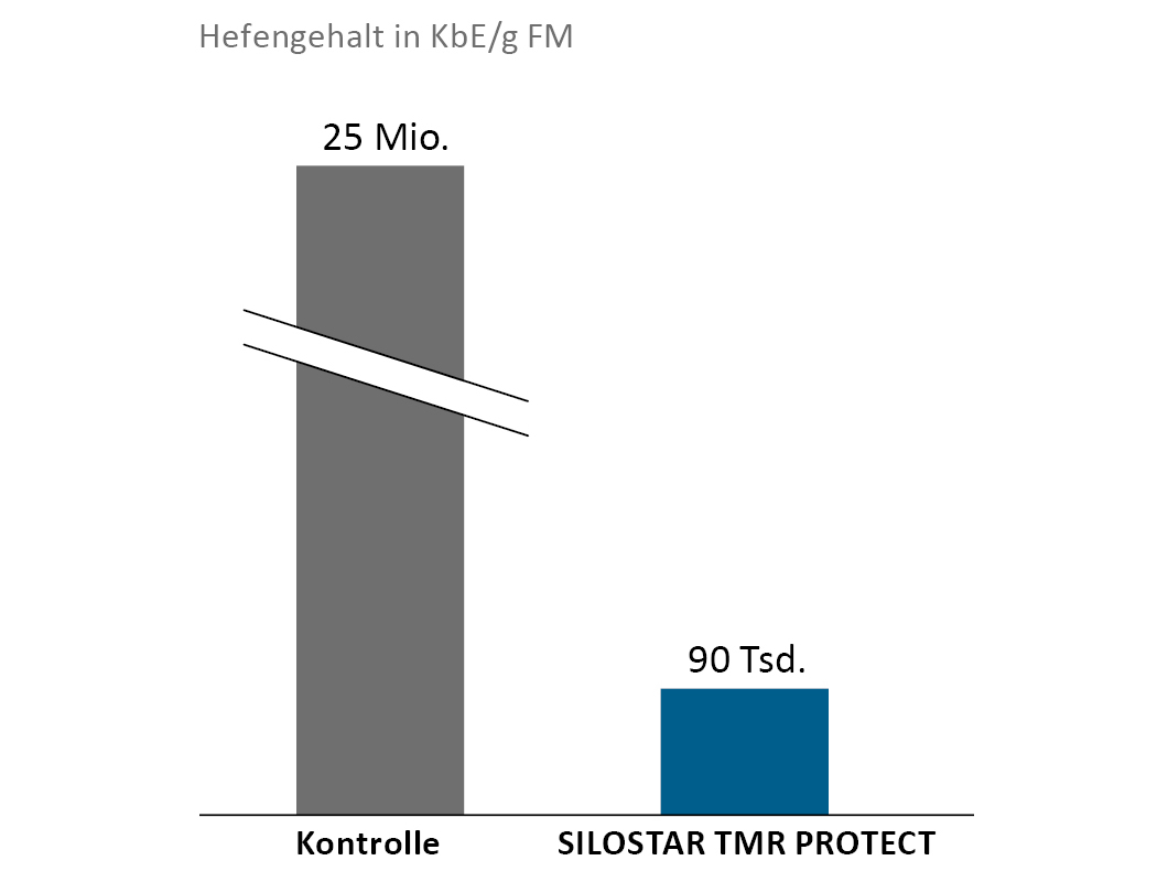 SILOSTAR TMR PROTECT smanjuje količinu kvasaca 