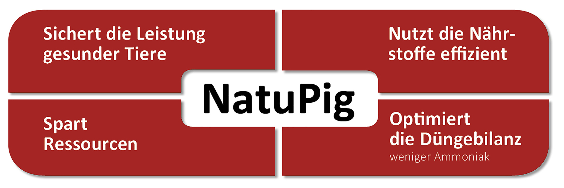 NATUPIG u tovu svinja