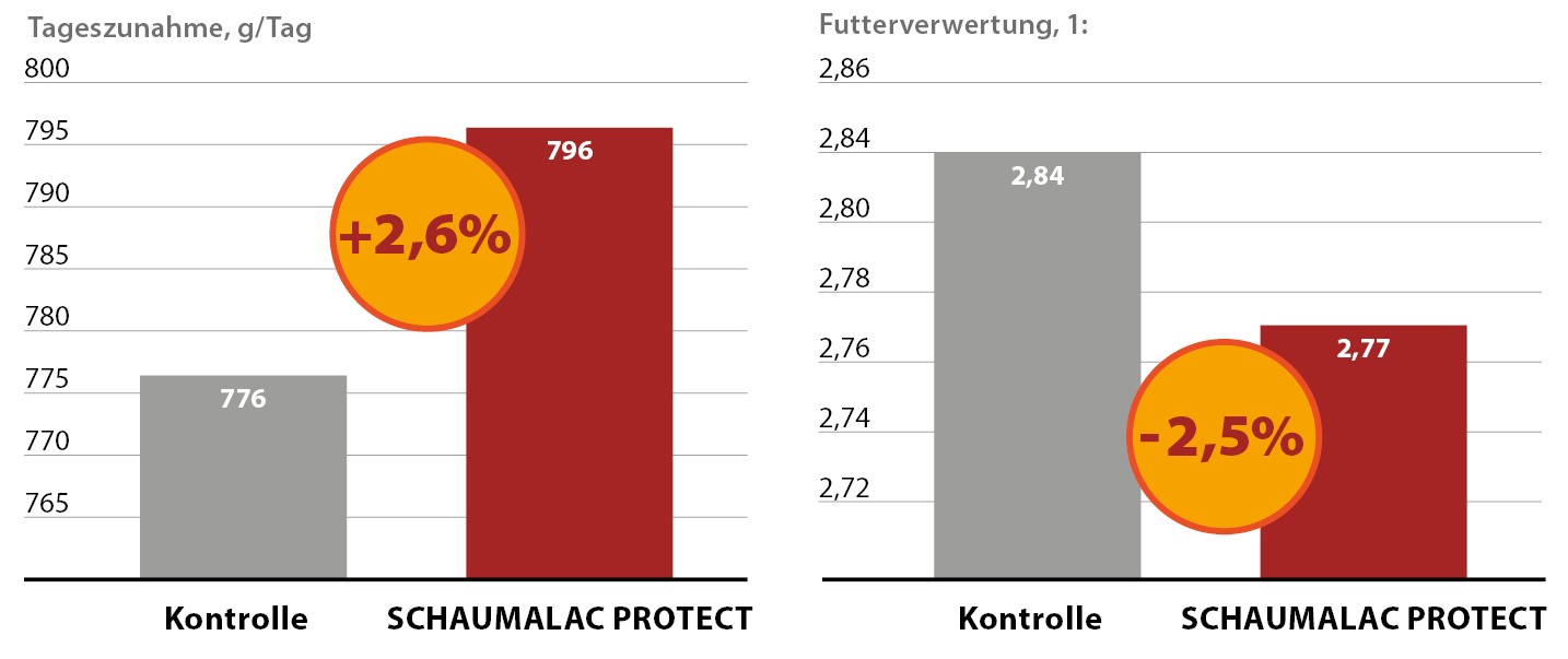 SCHAUMALAC PROTECT  poboljšava dnevne priraste i konverziju hrane