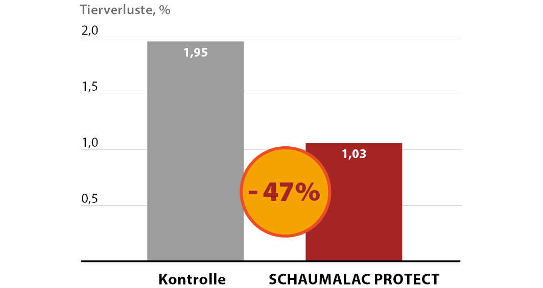 SCHAUMALAC PROTECT smanjuje gubitke u tovu