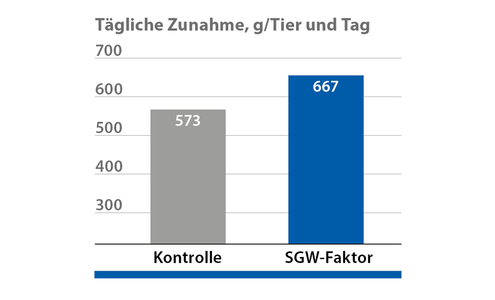 SGW-Faktor