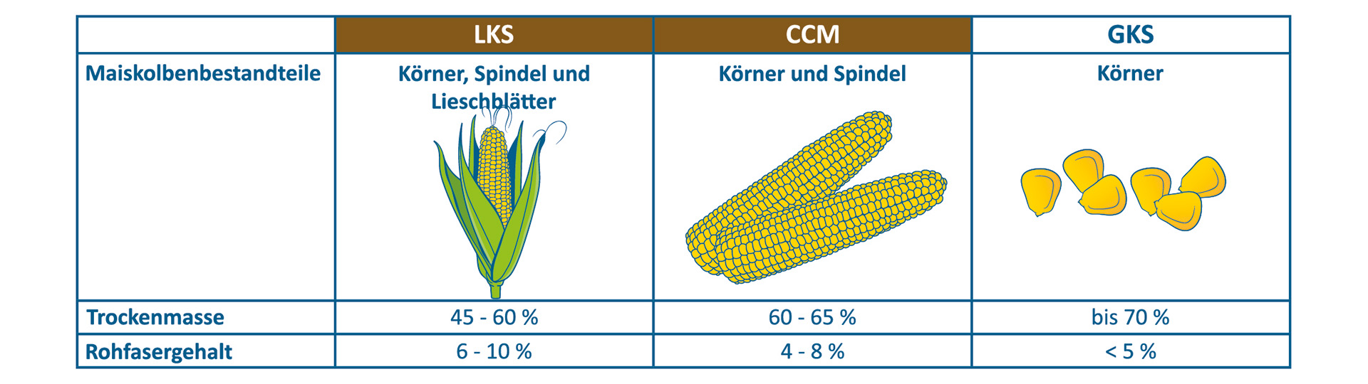 oblici spremanja zrele biljke kukuruza