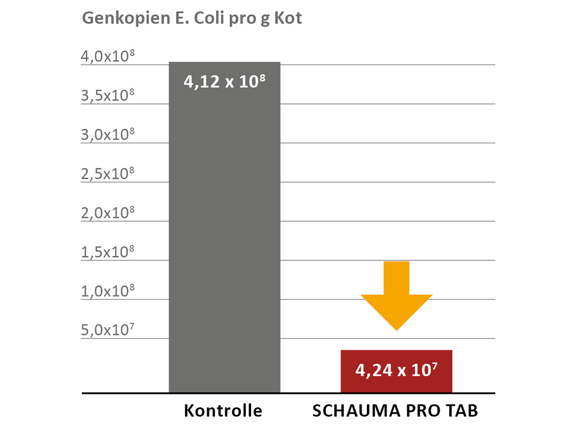 SCHAUMA PRO TAB smanjuje opterećenje klicama uzrokovano bakterijama E. coli