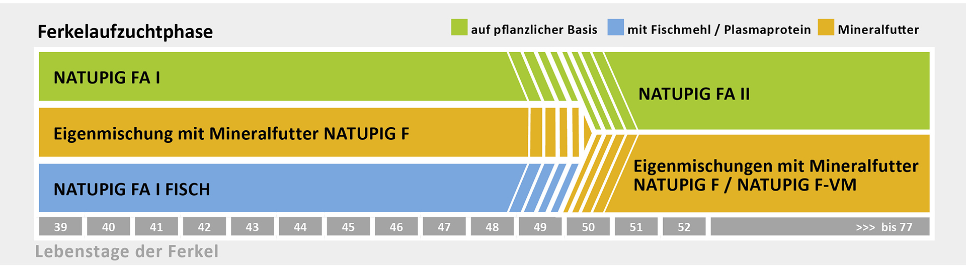 Futter für die Ferkelaufzuchtphase
