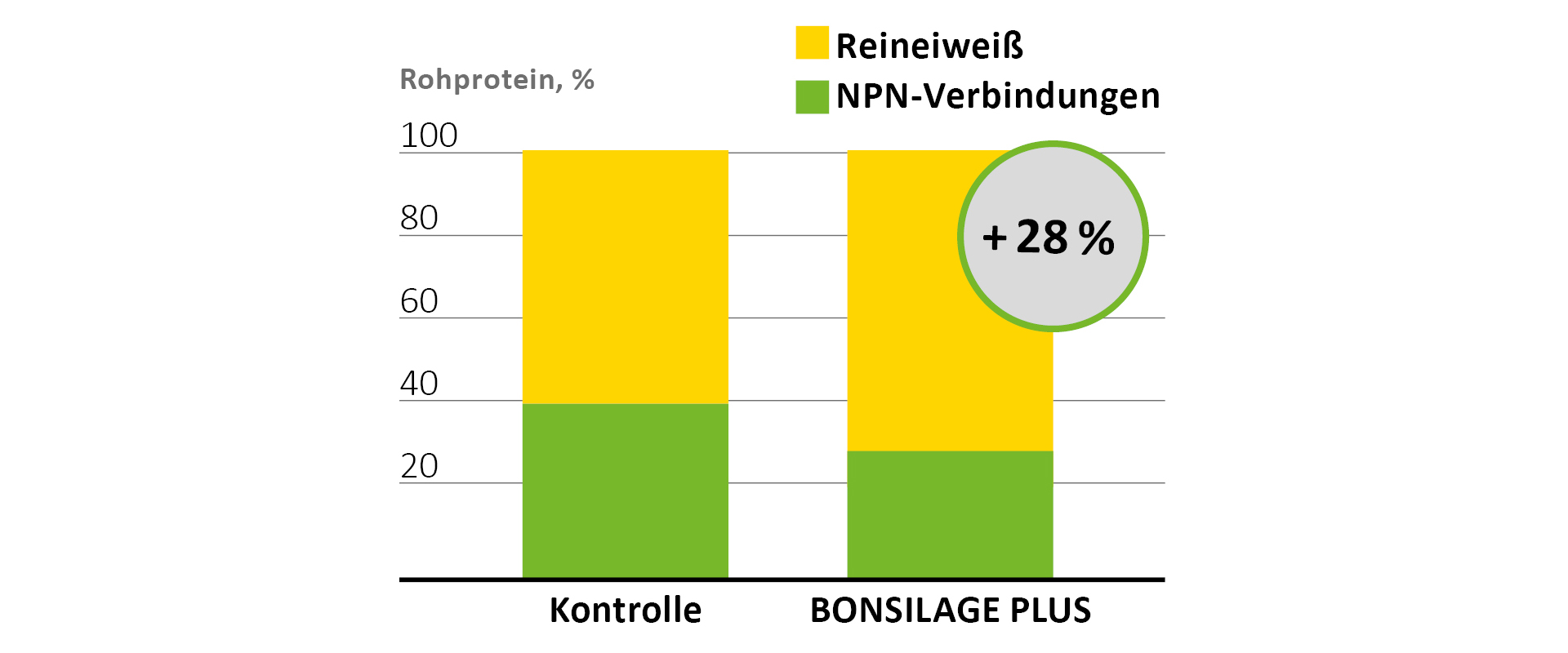 BONSILAGE PLUS verhindert den Verderb und den Proteinabbau