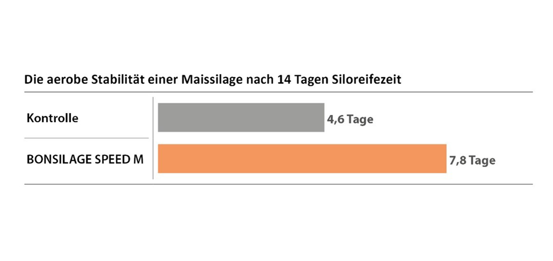 Darstellung der aeroben Stabilität bei Maissilage