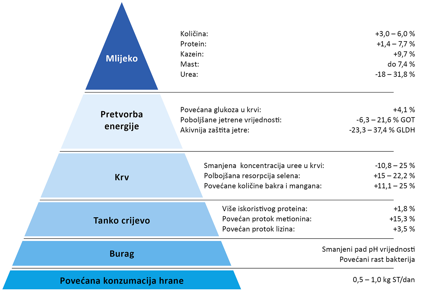 Leistungspyramide BOVIN-S-KOMPLEX